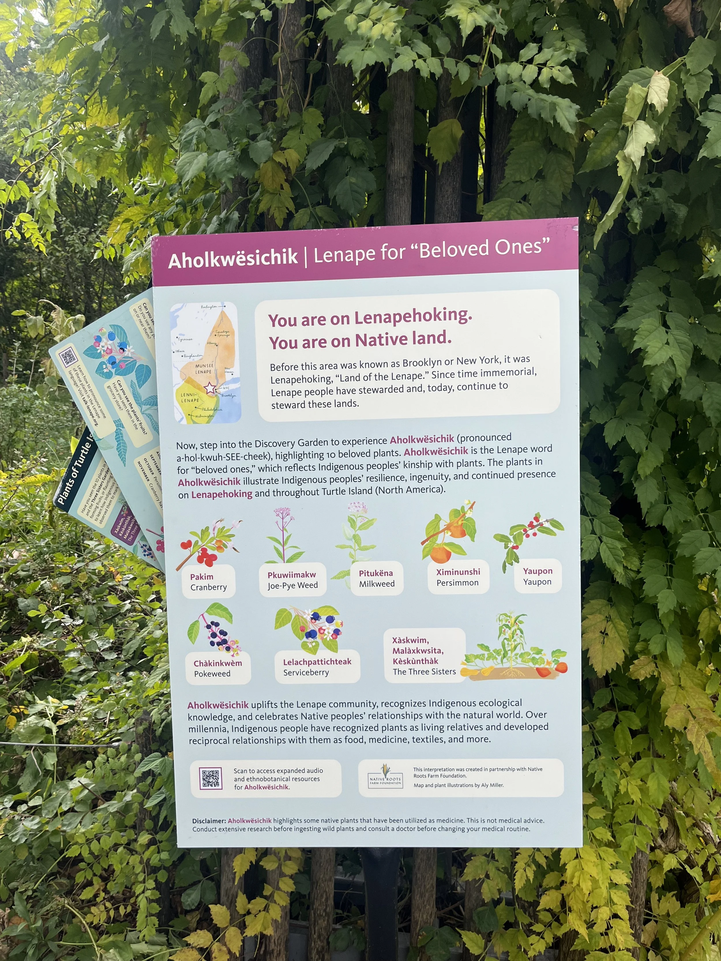 NATIVE LAND SIGN AT BBG-ALY MILLER.jpg