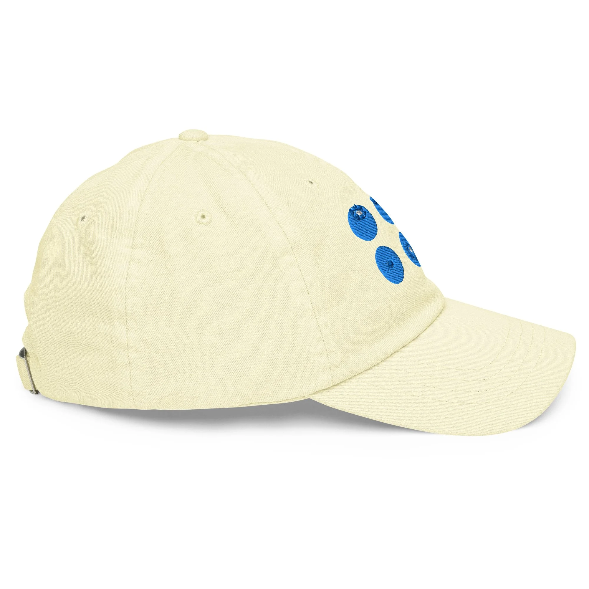 blueberry hat-aly miller 1.jpg