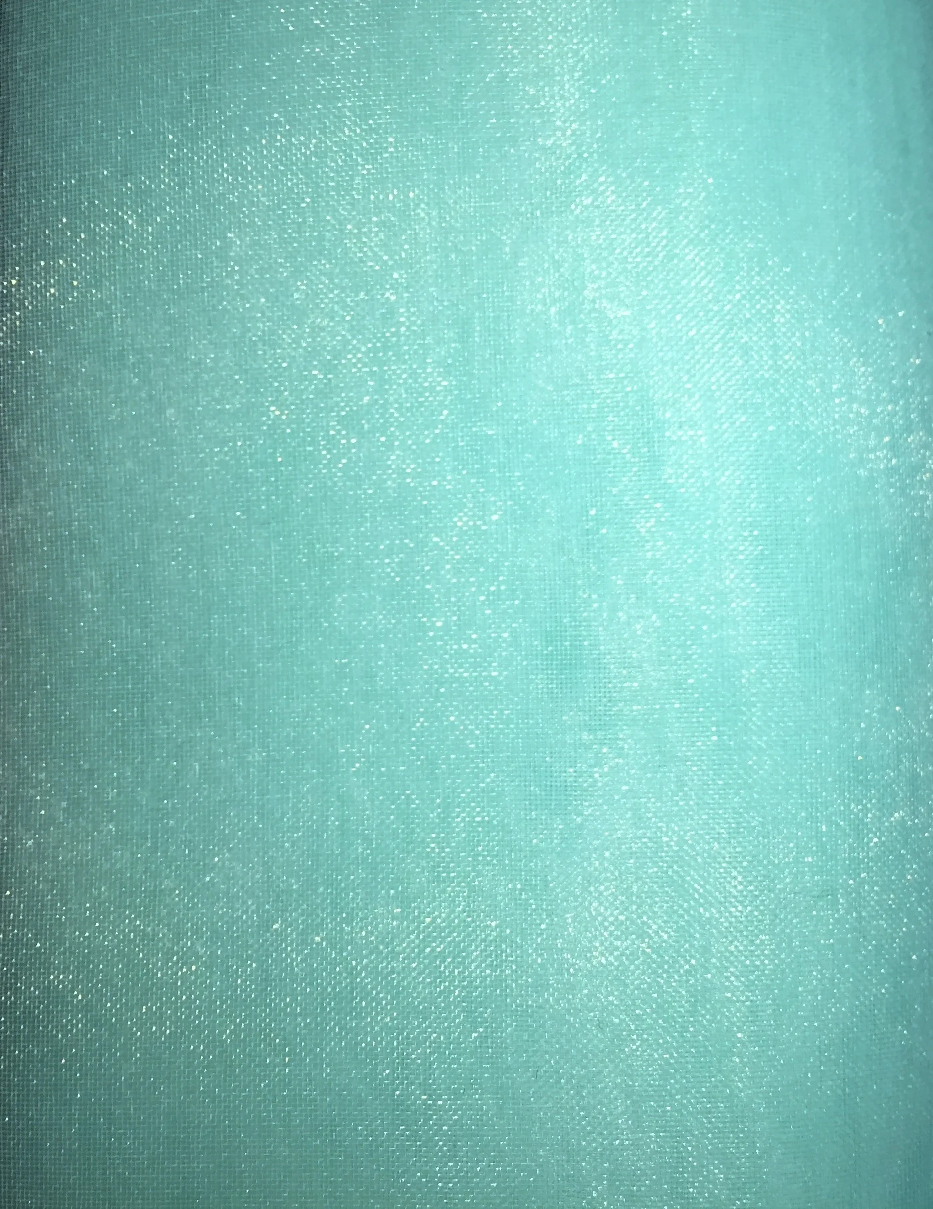 Organza Mint 3.95.JPG