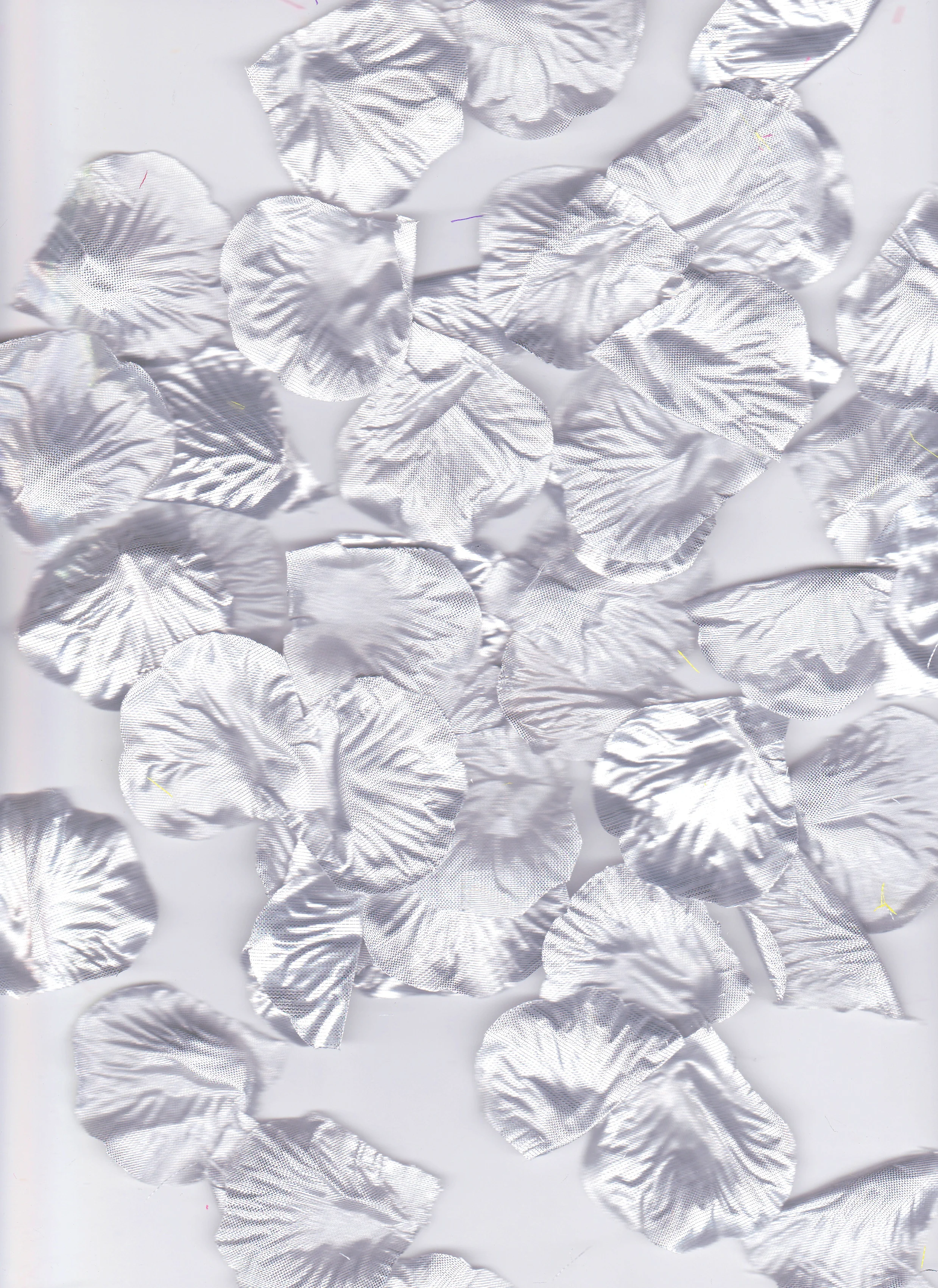 Metallic Silver Rose Petals.jpg