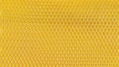 Sunflower Netting.jpg