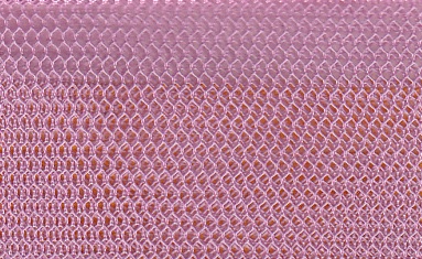Rose Netting.jpg