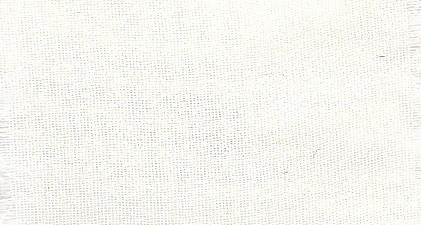 ivory D 1113.jpg