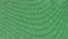 Apple Green Poly Poplin.JPG