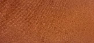 Rust Poly Poplin.JPG