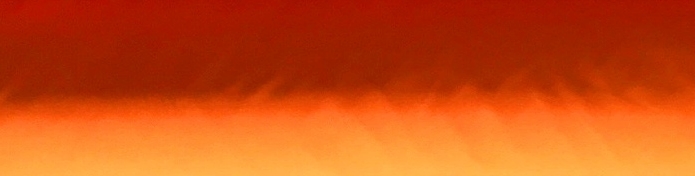 Orange Double Wide Poly Poplin.JPG