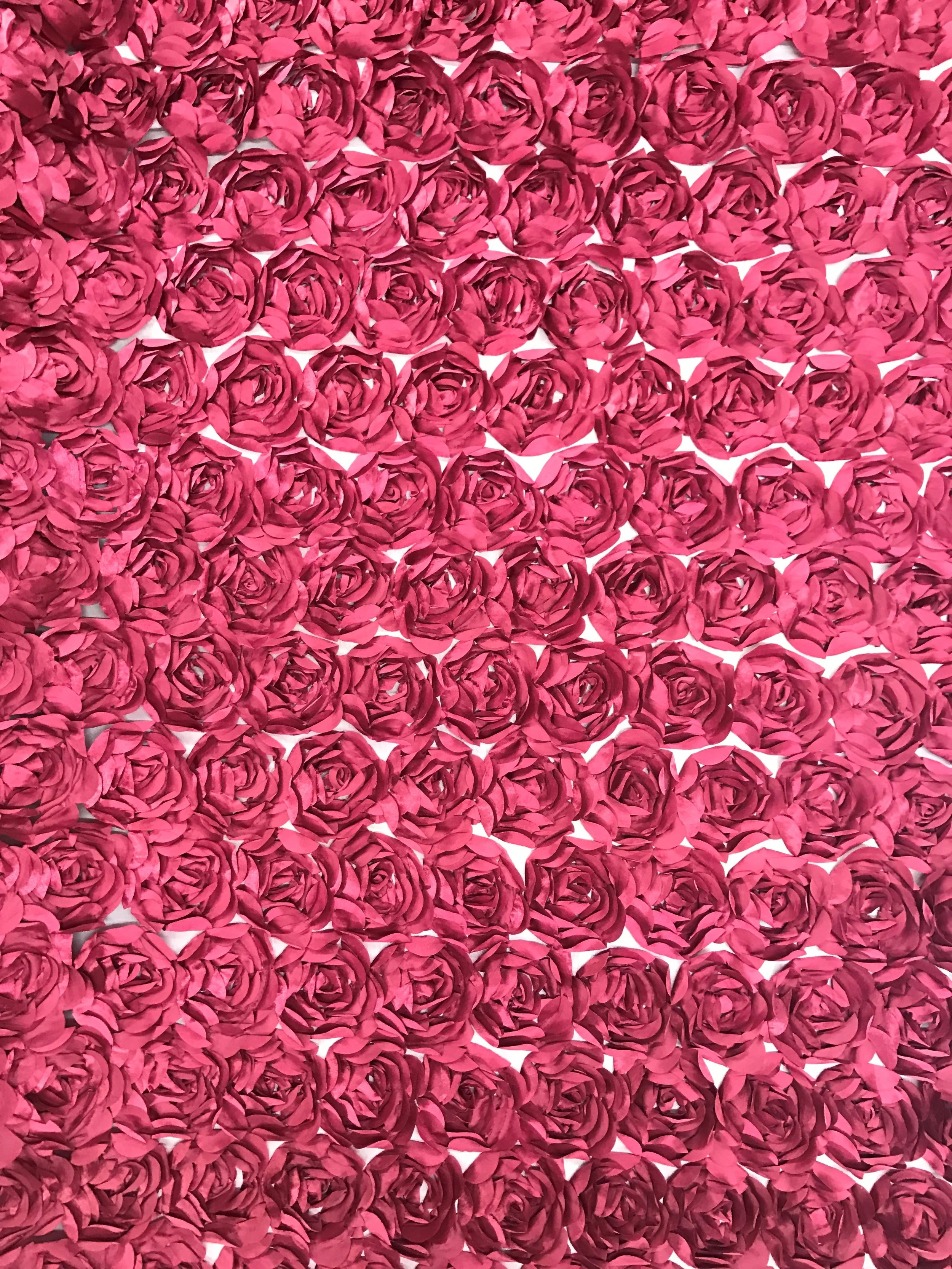 5Roses Burgundy .jpg