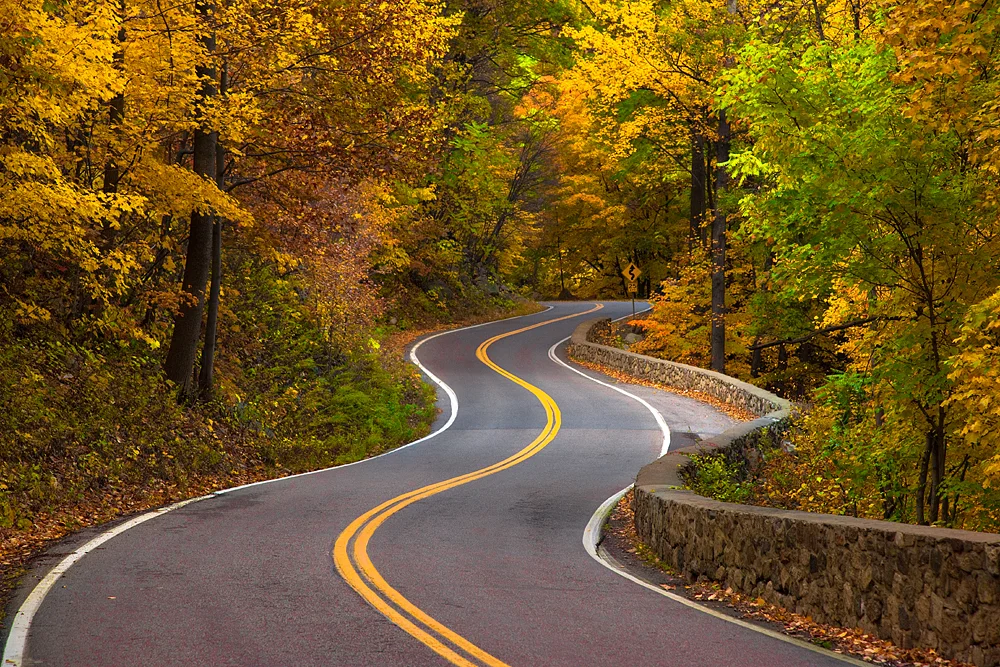 winding_road_5.jpg