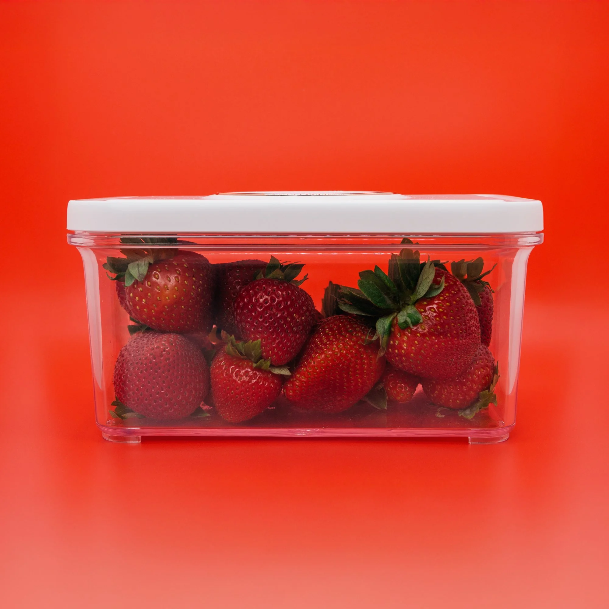 _ANA0349.jpg