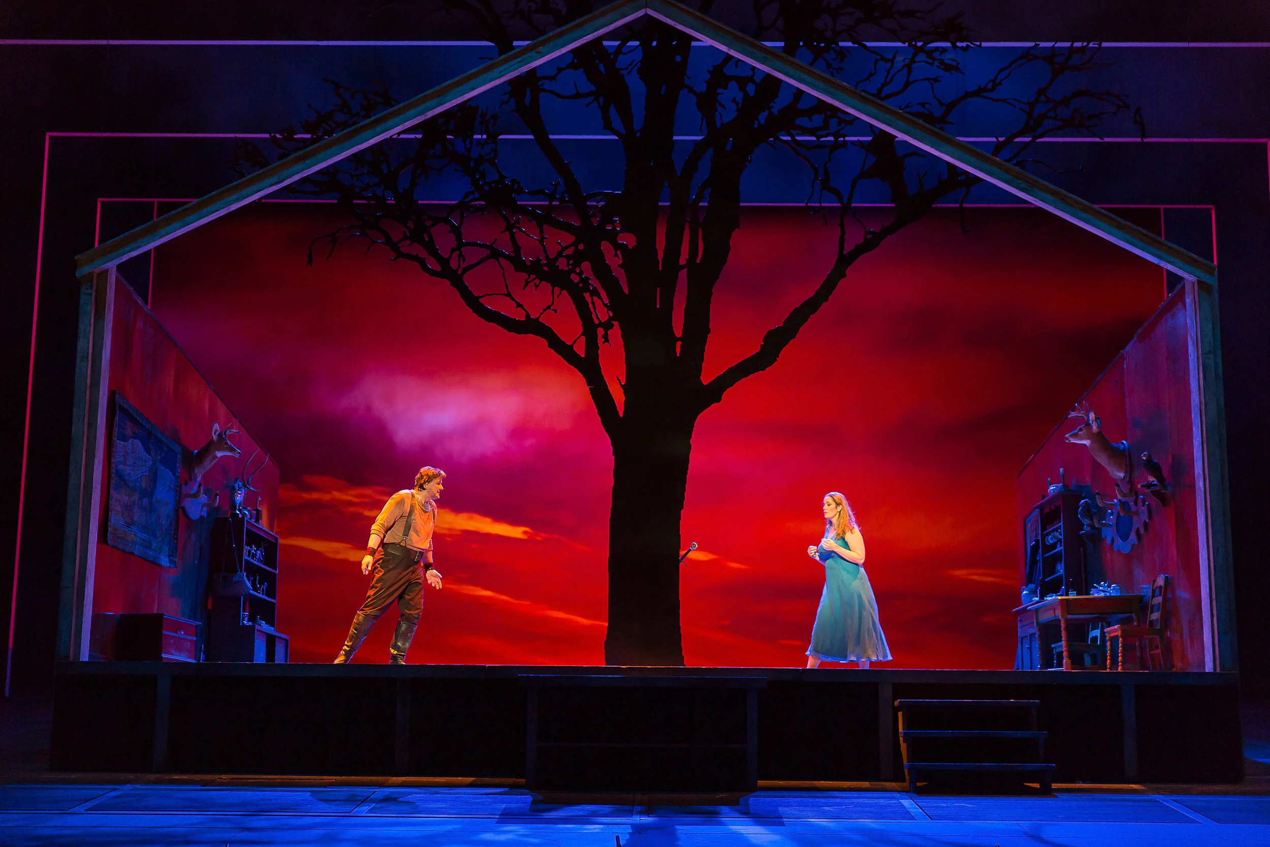   The Valkyrie /Washington National Opera/2016 design by Catherine Zuber photo by Scott Suchman 