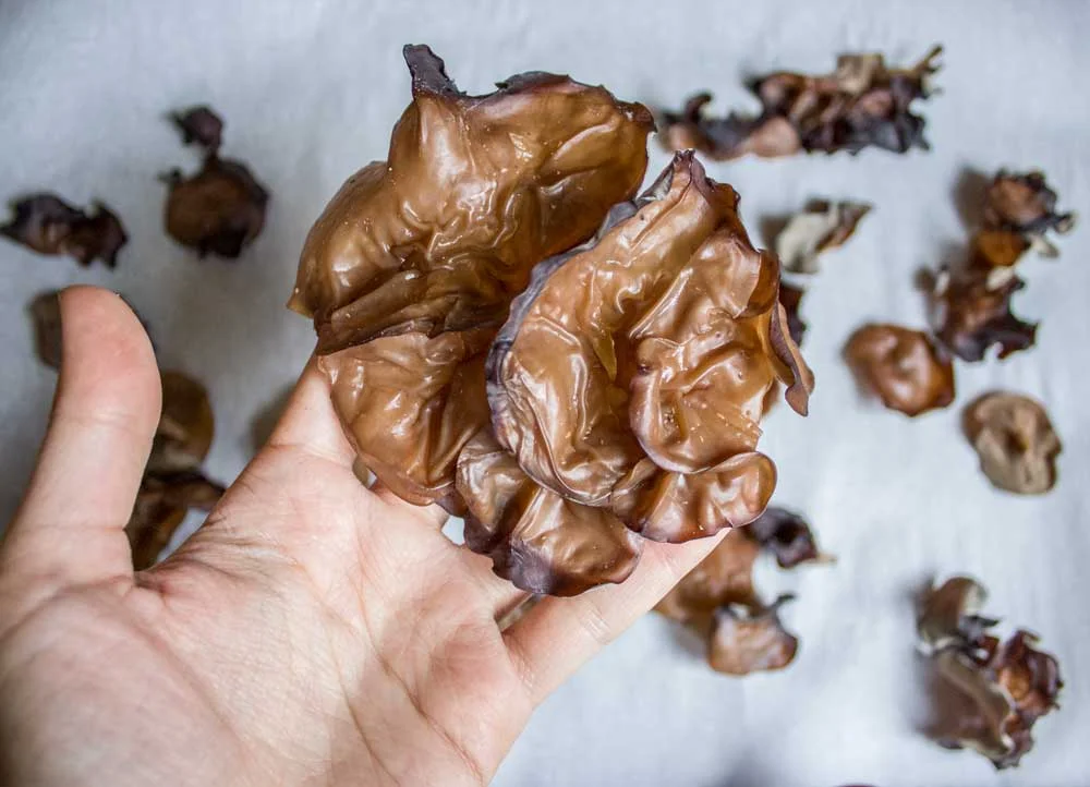 Wood-ear Mushrooms