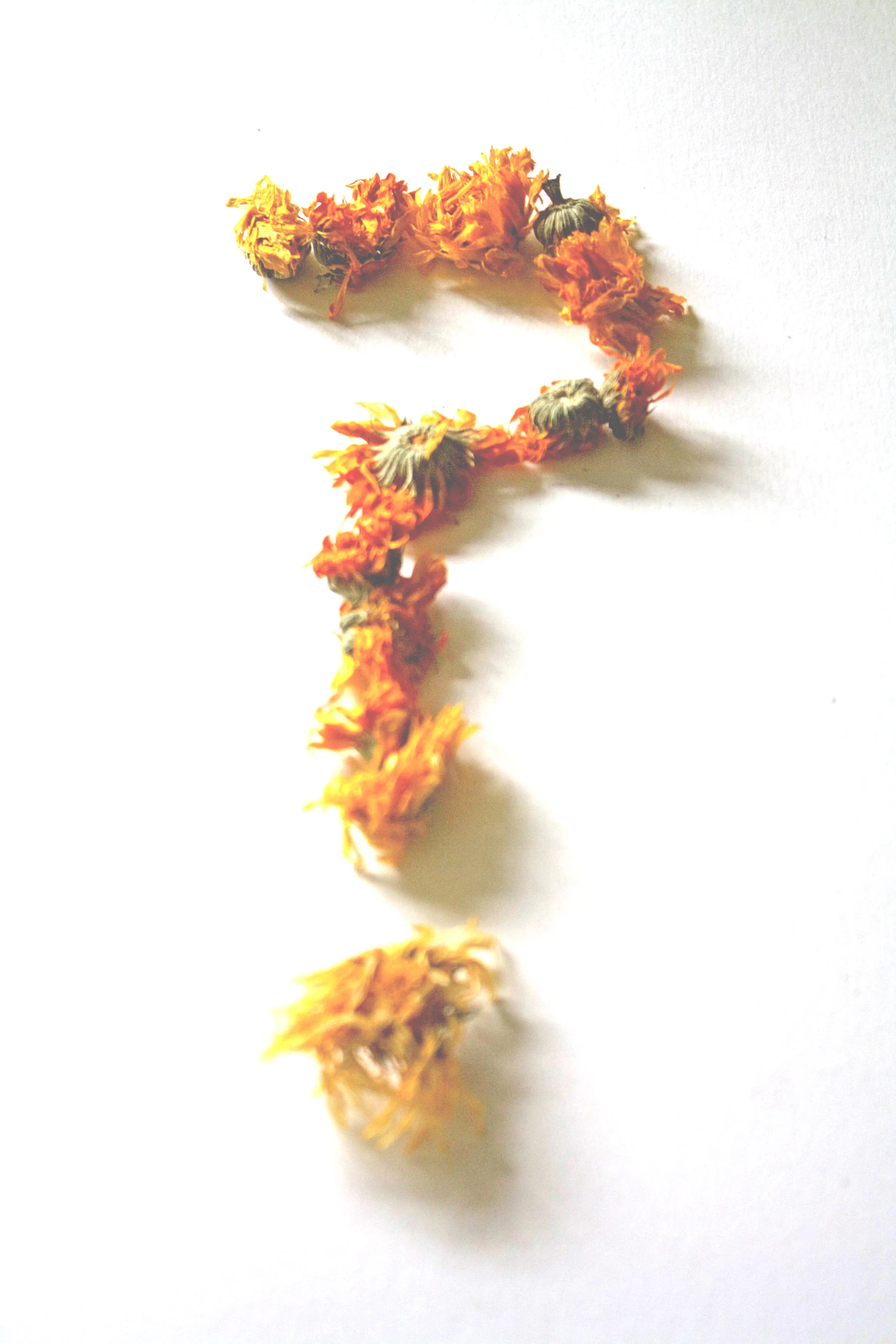 herbal question mark.jpg