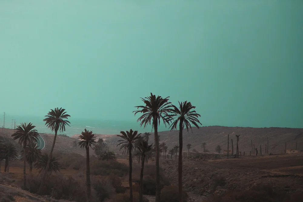 theplaces_8.jpg