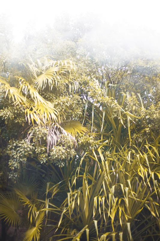 theplaces_34.jpg