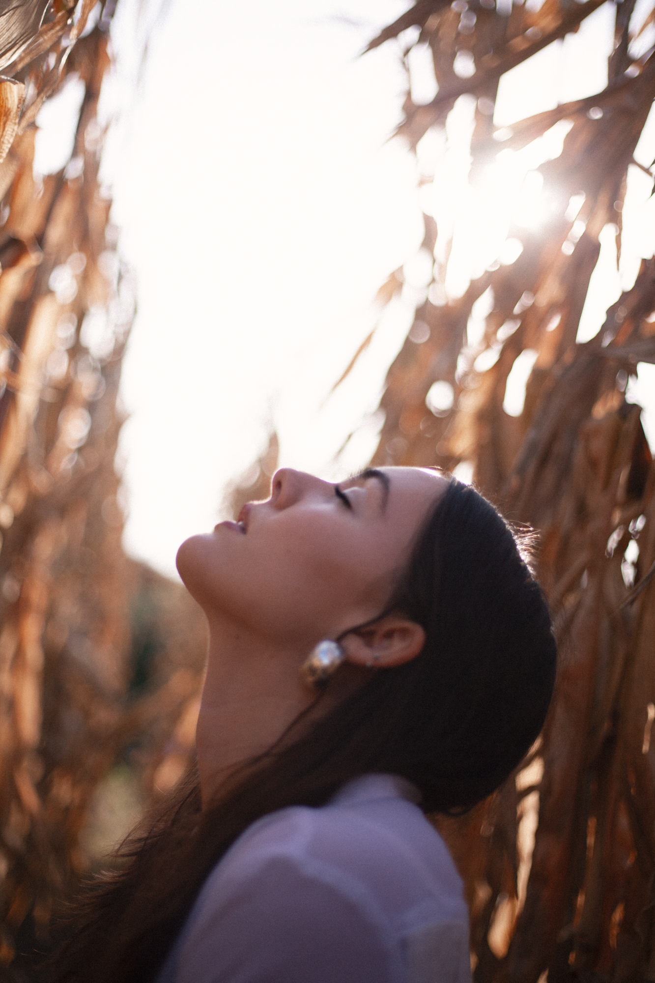 _MG_0432-Edit.png