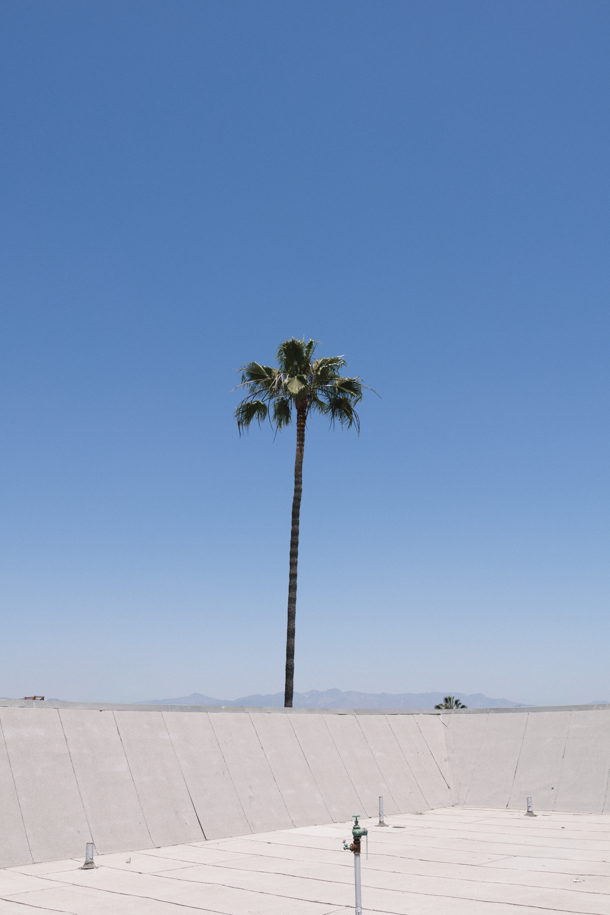 CJ__0146-Edit.png