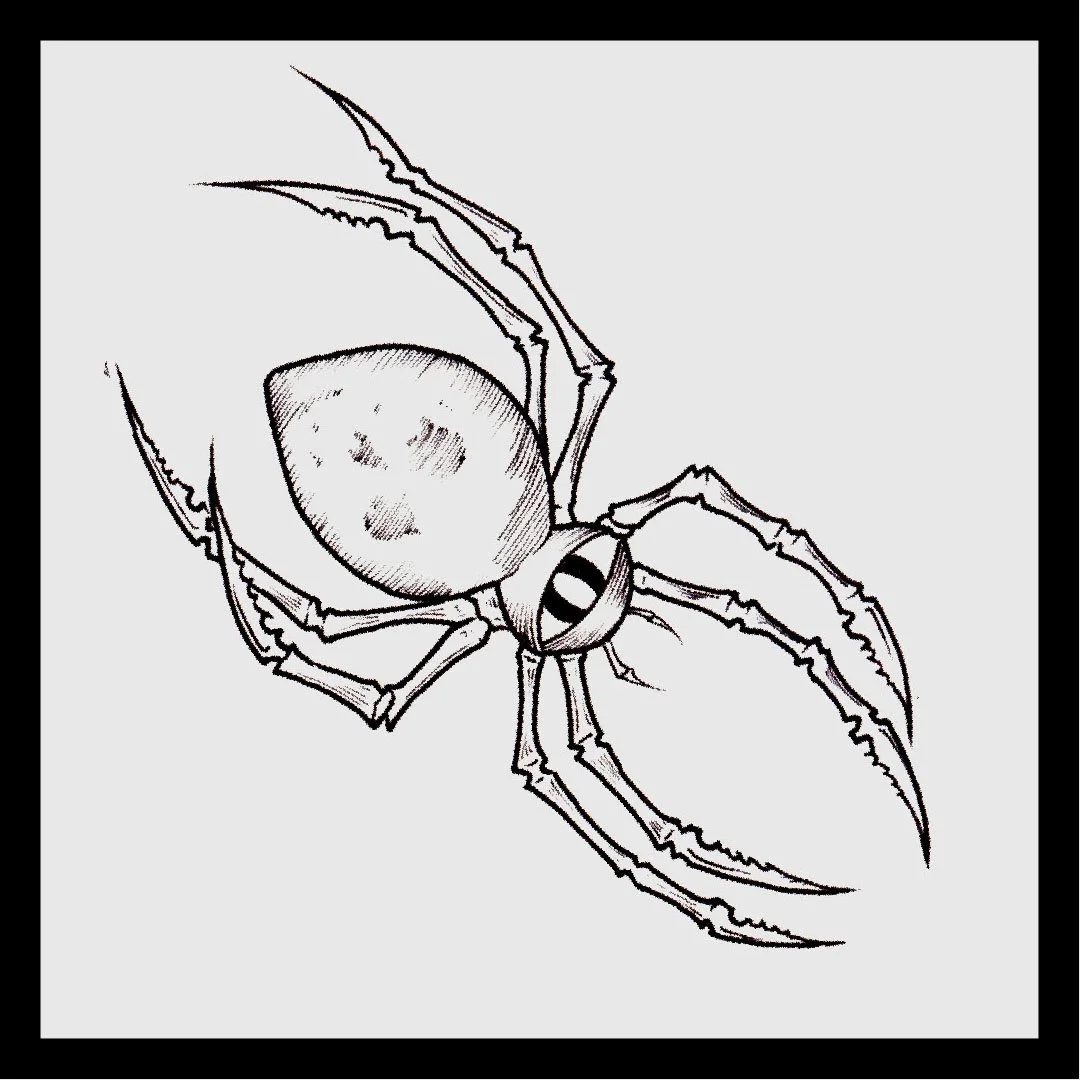 eyespyder 2.JPG
