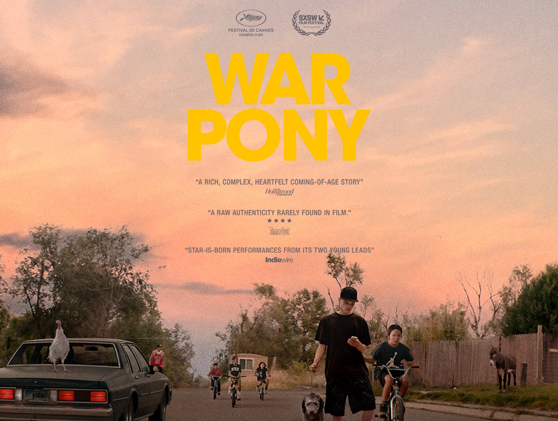 WarPony_1905x1440_copy.jpg