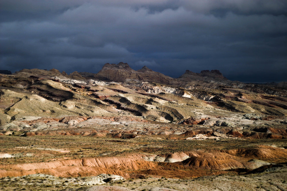 san rafael swell by jaggy mones for the boo forever collective