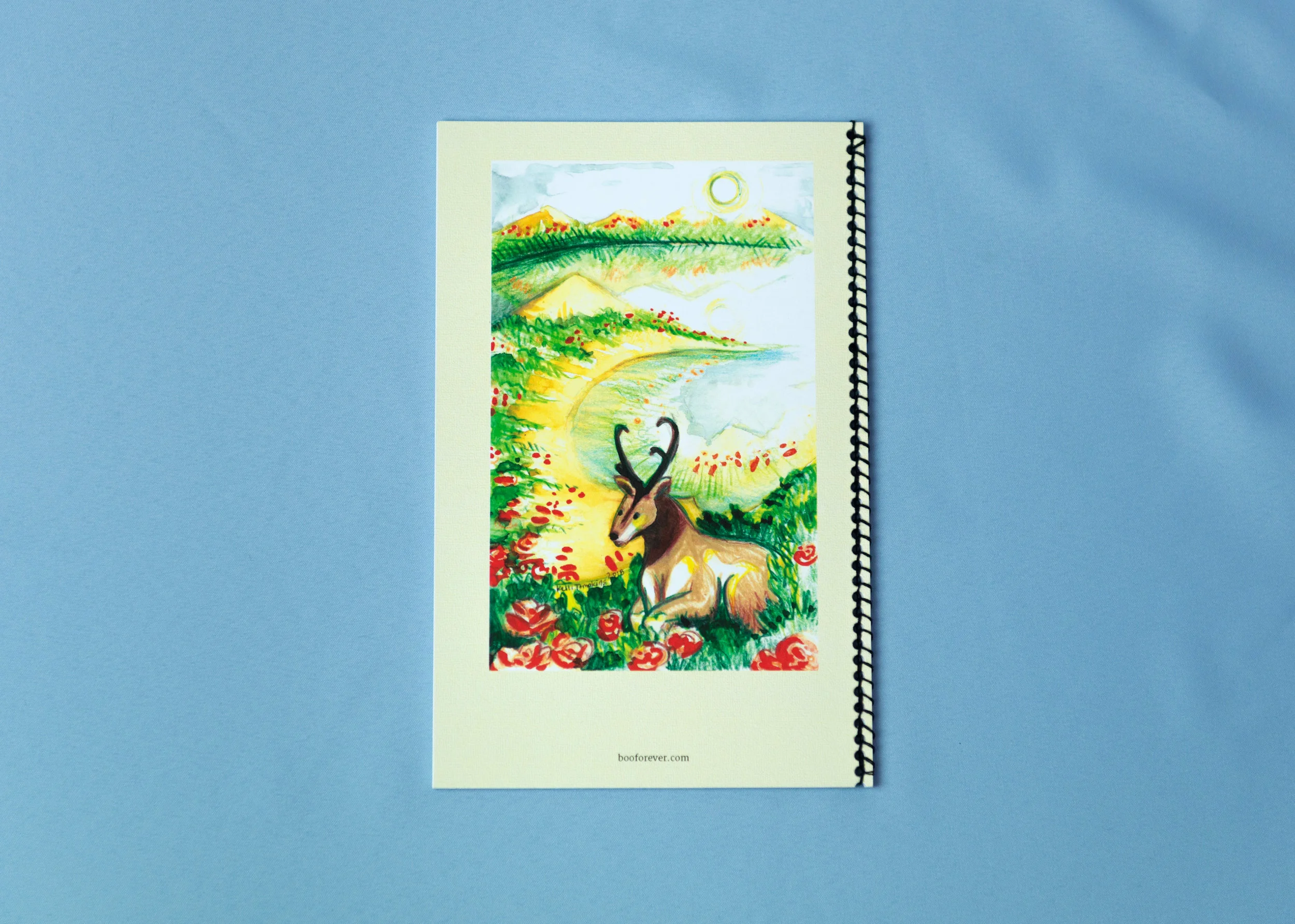 Boo Forever Anahata Chakra Zine Back Cover.jpg