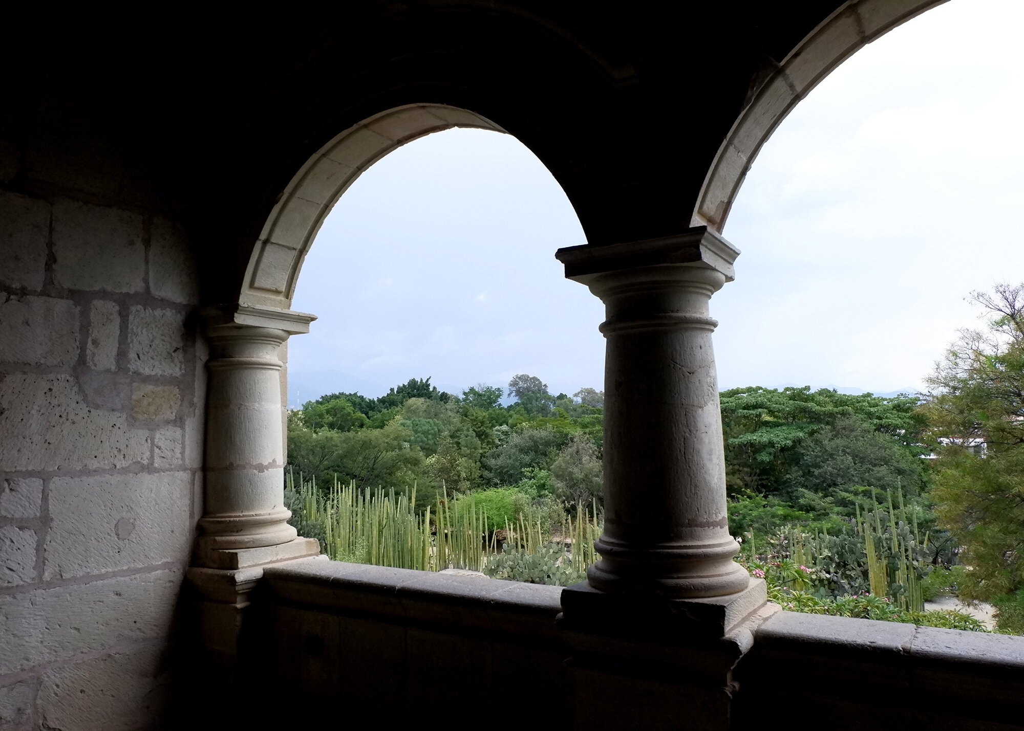 view of the ethnobotanical garden from the Museo de las Culturas