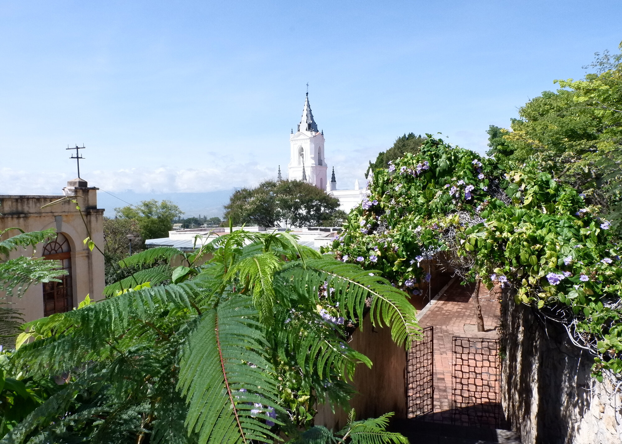 view of the cathedral at San Agustin Etla