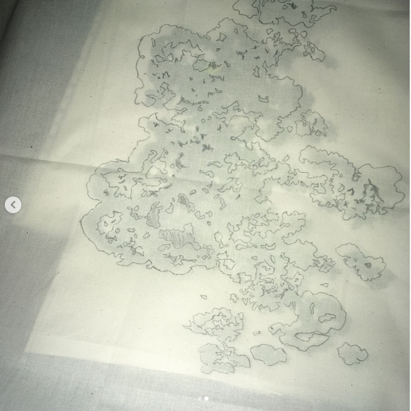 lichen tracing 2.PNG