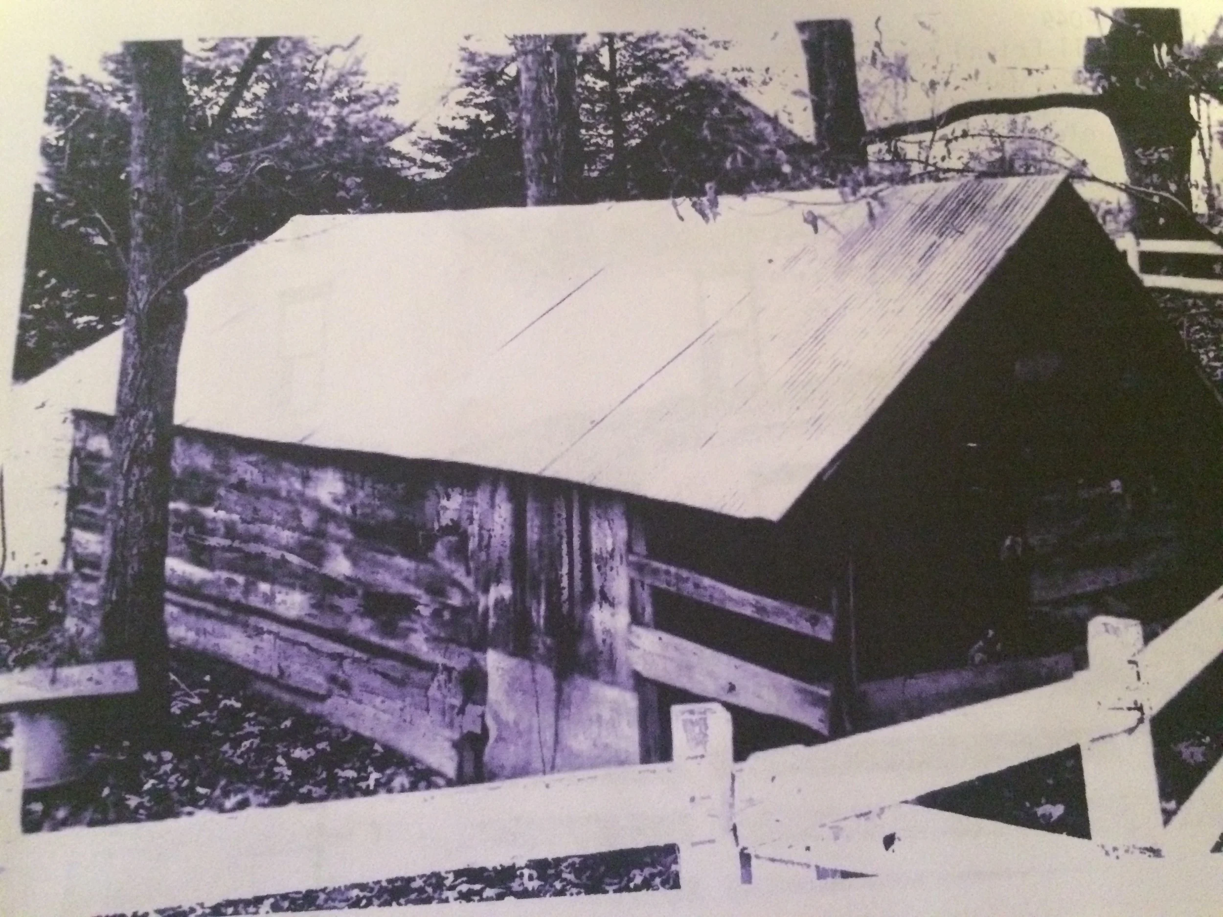 Photocredit: A. Burns, 1980