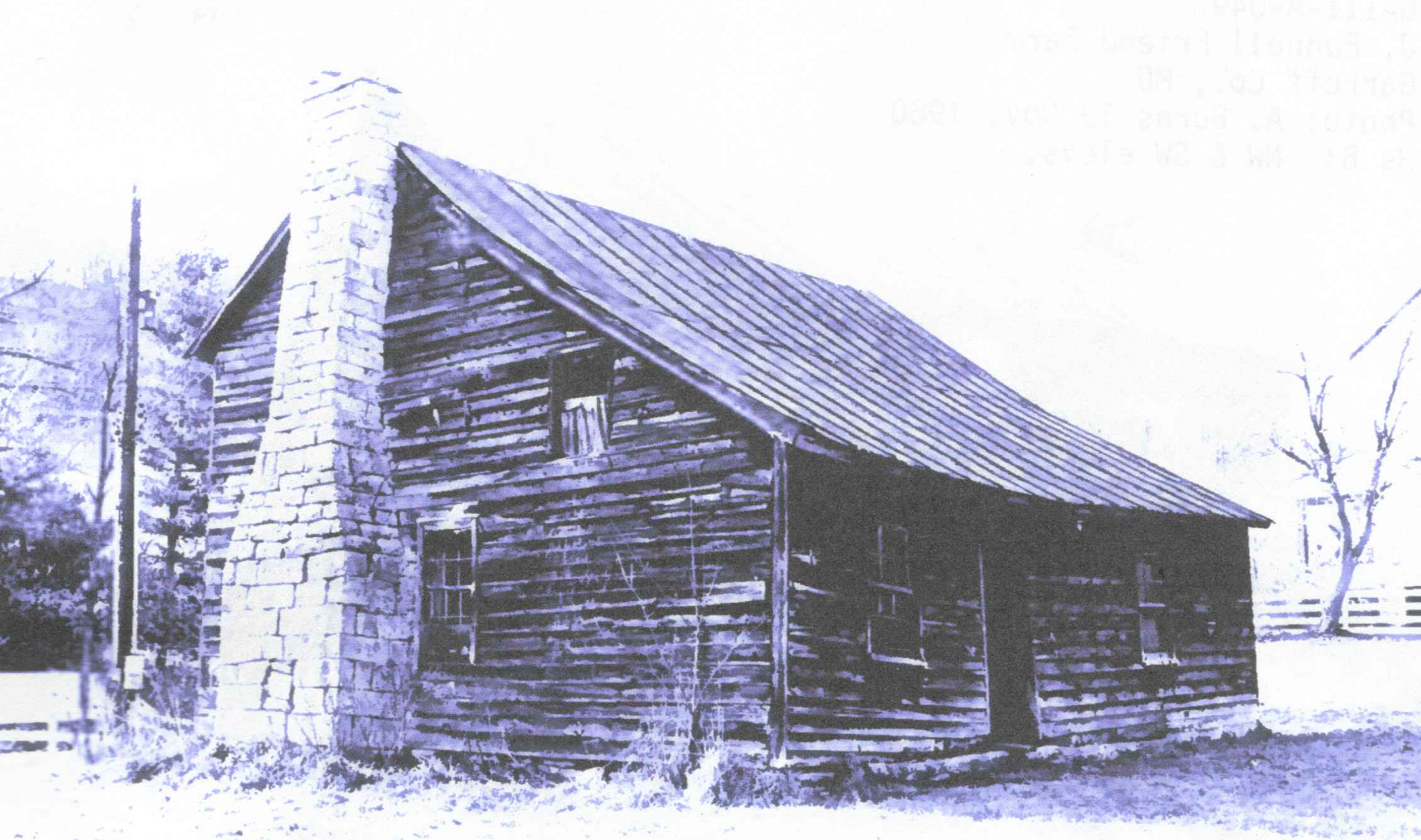 Photocredit: A. Burns, 1980