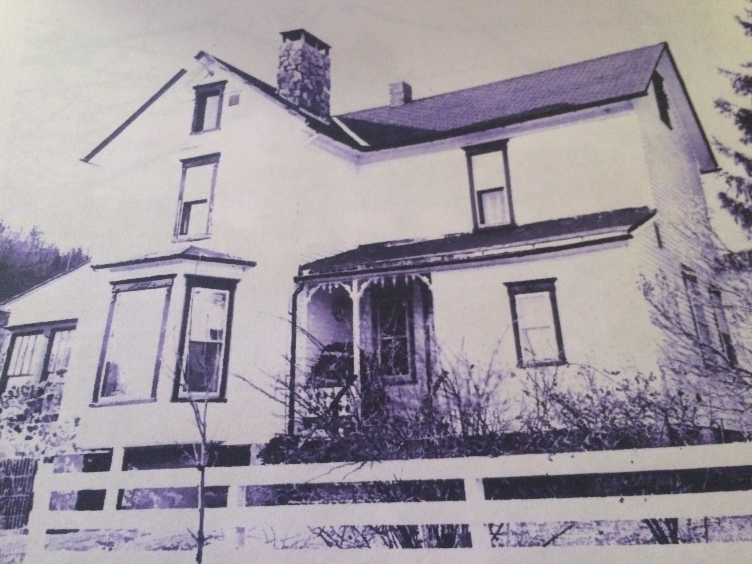 Photocredit: A. Burns, 1980