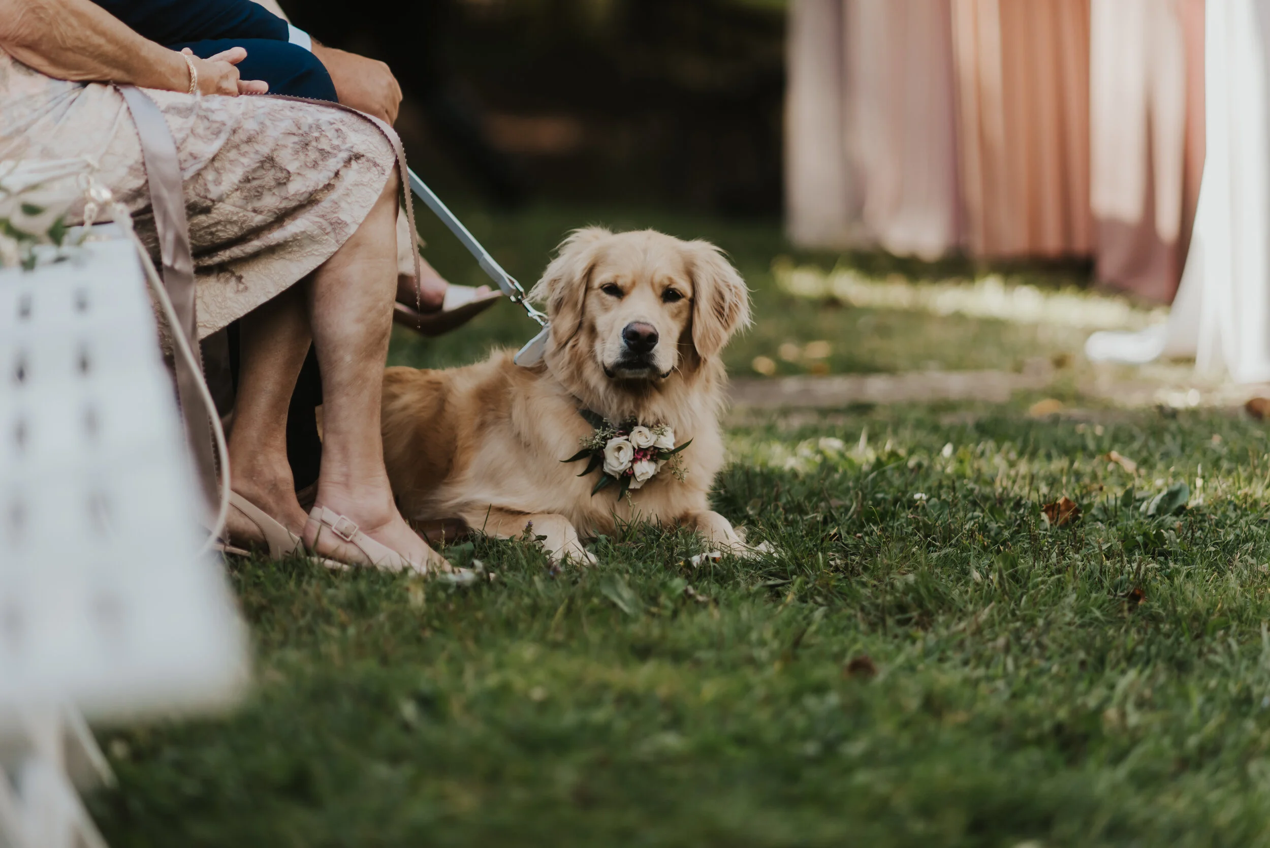  “Chanteclaire EXCEEDED our expectations!!”   Jessica B. — 2019 