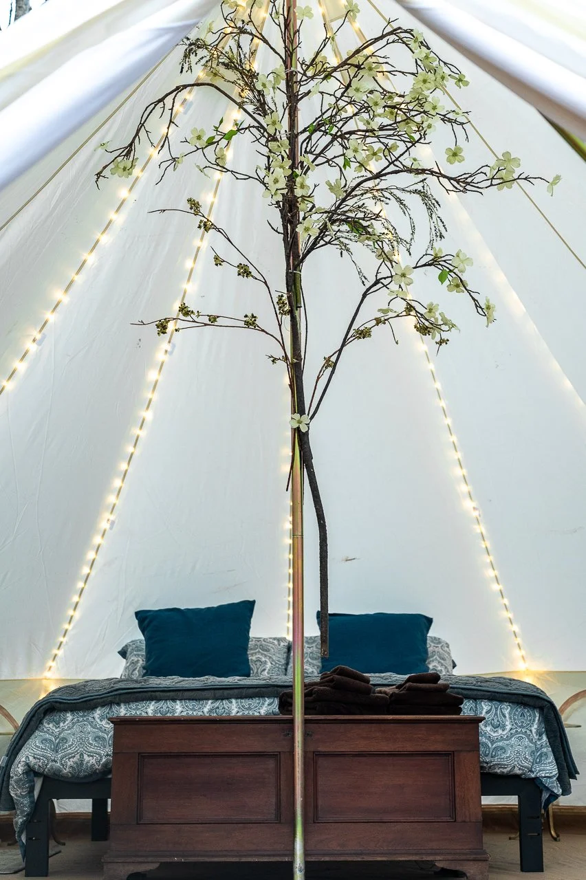 CF_FetePhoto_Tents-7-2.jpg