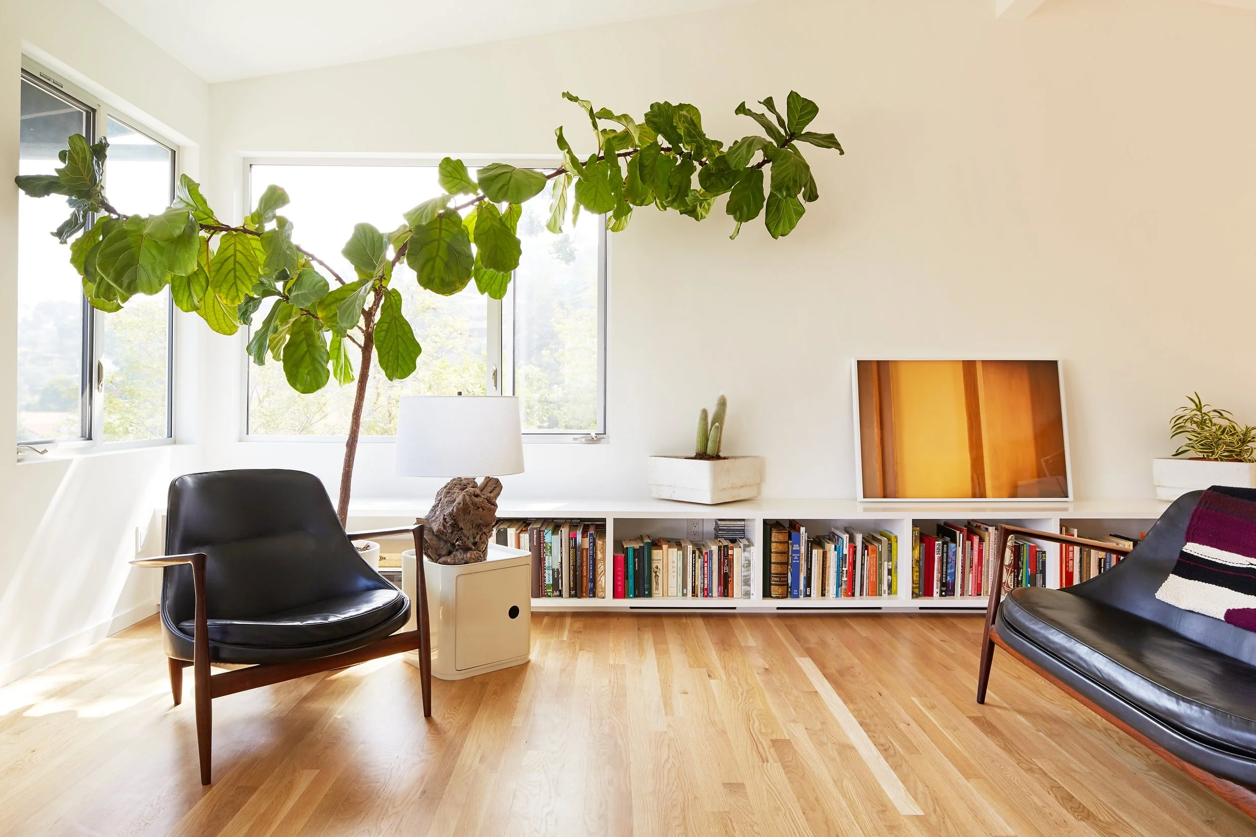 20170512 - Walsh 20828 copy.JPG