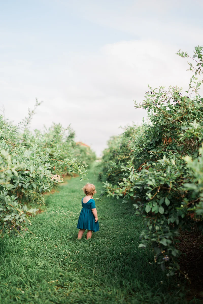 blueberries7.jpg