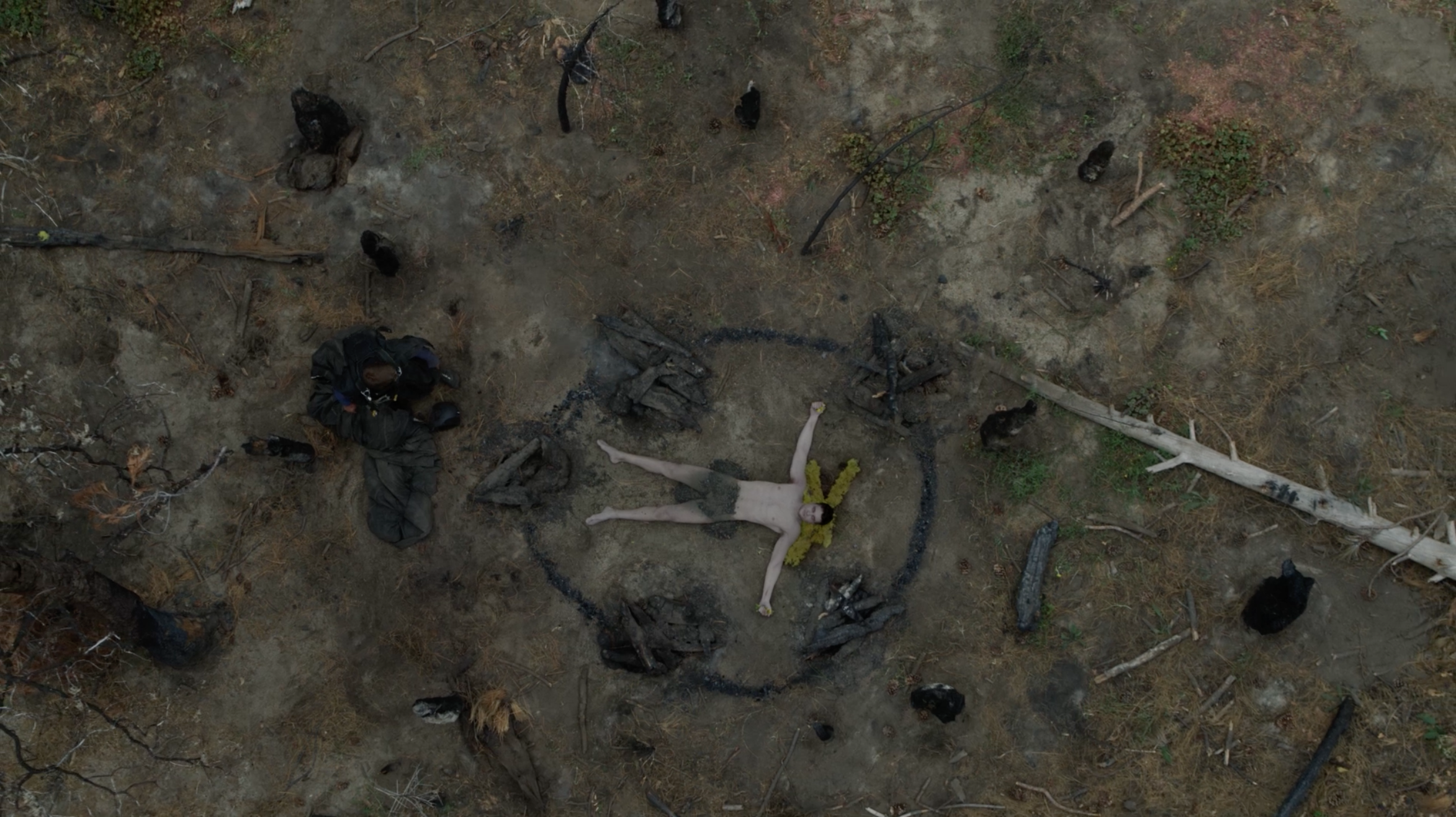 Screen Shot 2023-10-24 at 12.56.26 PM.png