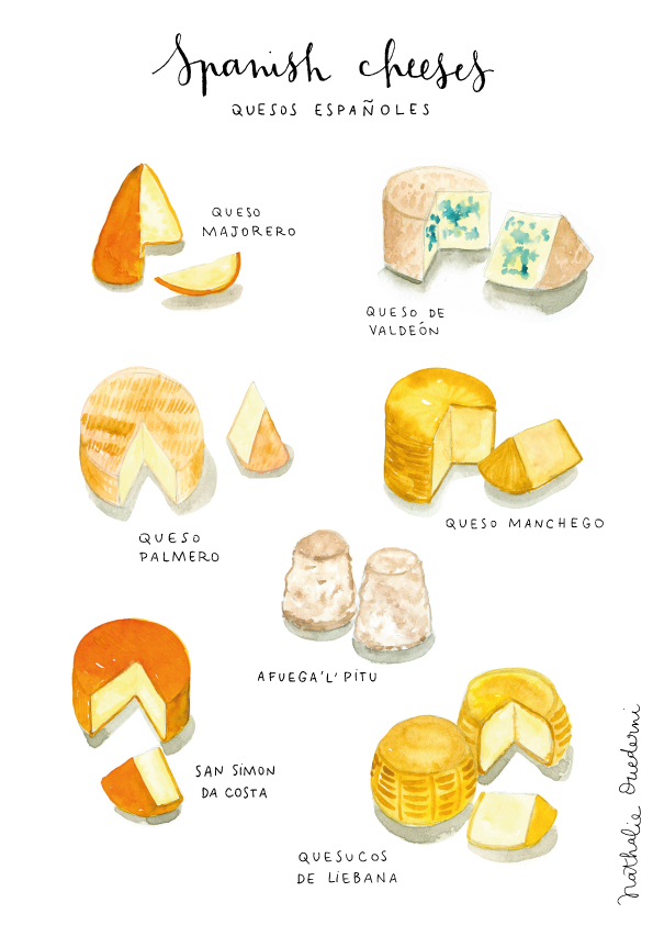spanish-cheeses-watercolor-food-illustration-flat.jpg