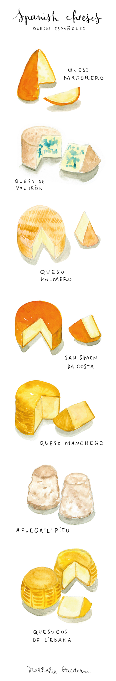 spanish-cheeses-watercolor-food-illustration-long.jpg