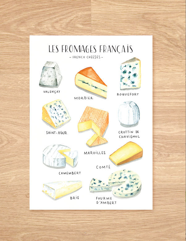 watercolor-french-cheese-food-illustration-nathalie-ouederni.png