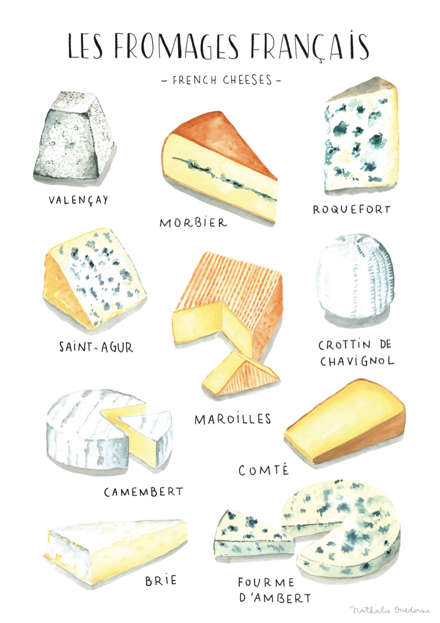 poster-watercolor-french-cheese-food-illustration-nathalie-ouederni.png