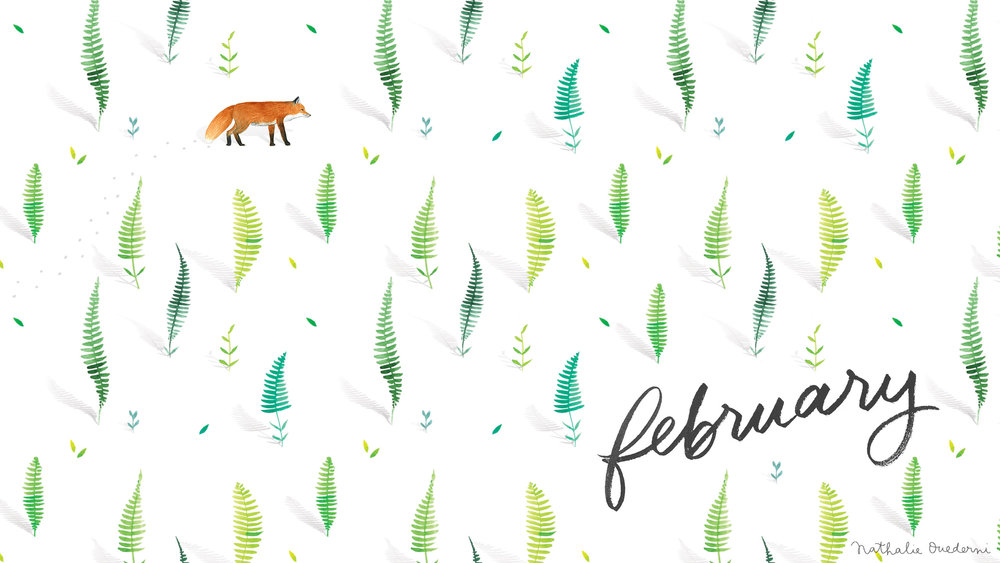 2560x1440-free-desktop-wallpaper-ferns-and-fox.jpg