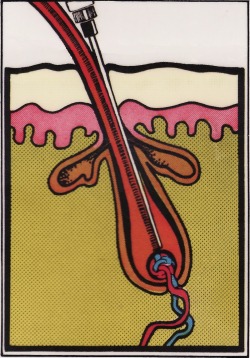 fig.2: filament at papilla