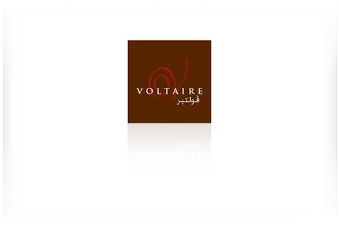 Visualeyes_Voltaire_Logo.jpg