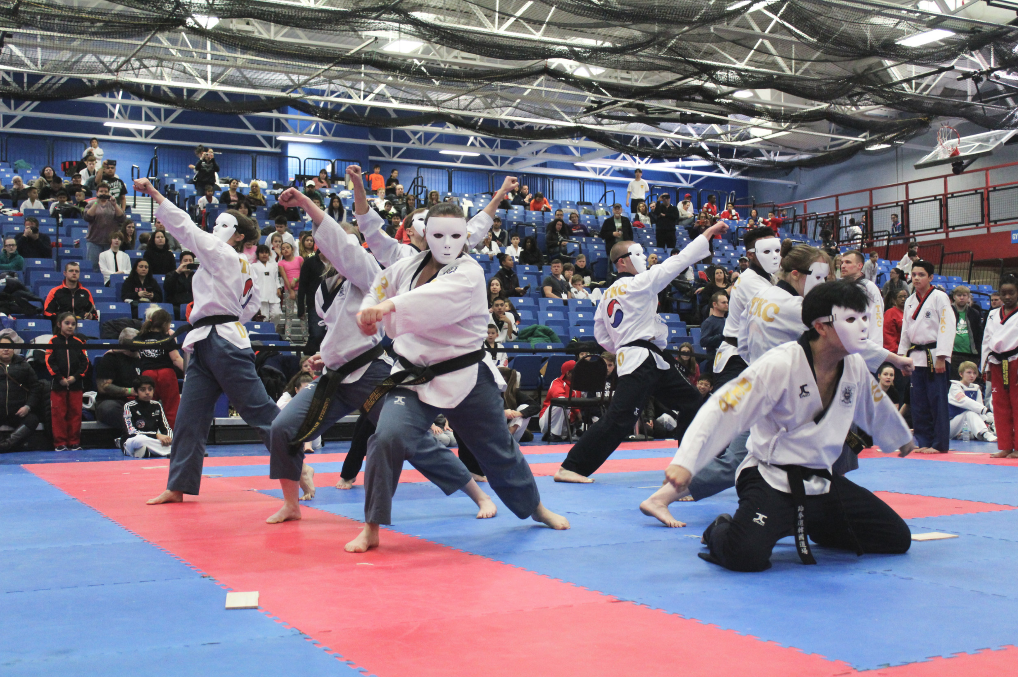2017 Midwest Invitational Taekwondo Championship