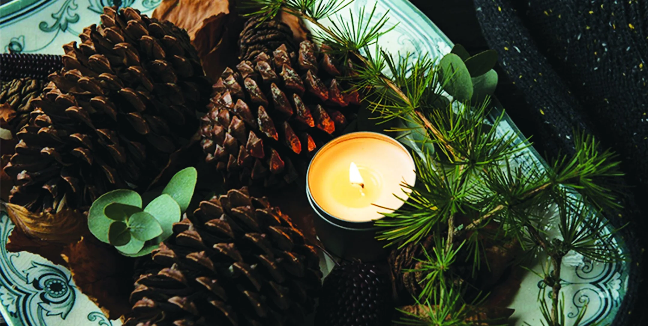 Holiday Healing: Self Care and Nervous System Reset 