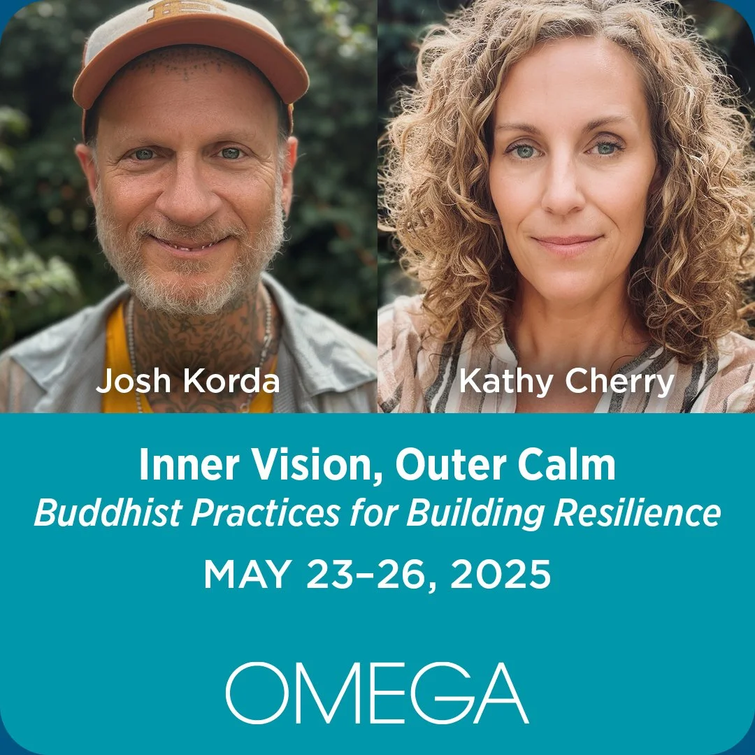Inner Vision, Outer Calm:  Buddhist Practices for Building Resilience