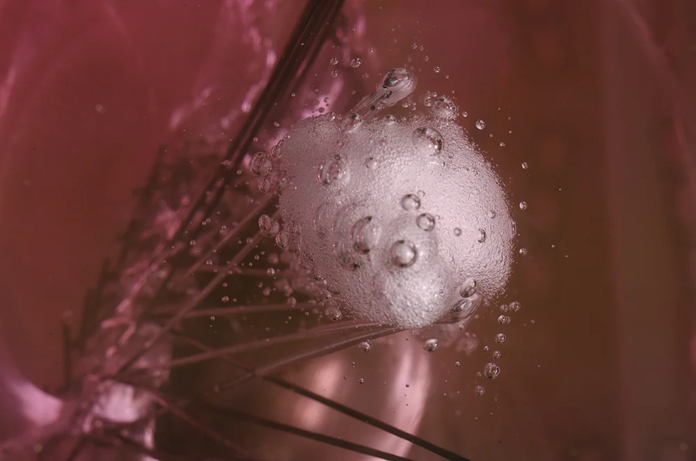Close up of the air bubbles in the pink lucite sculpture