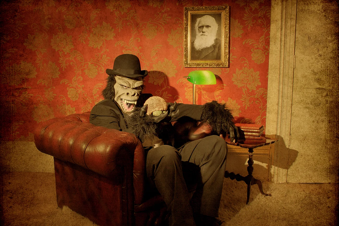 Darwin and the Monkey