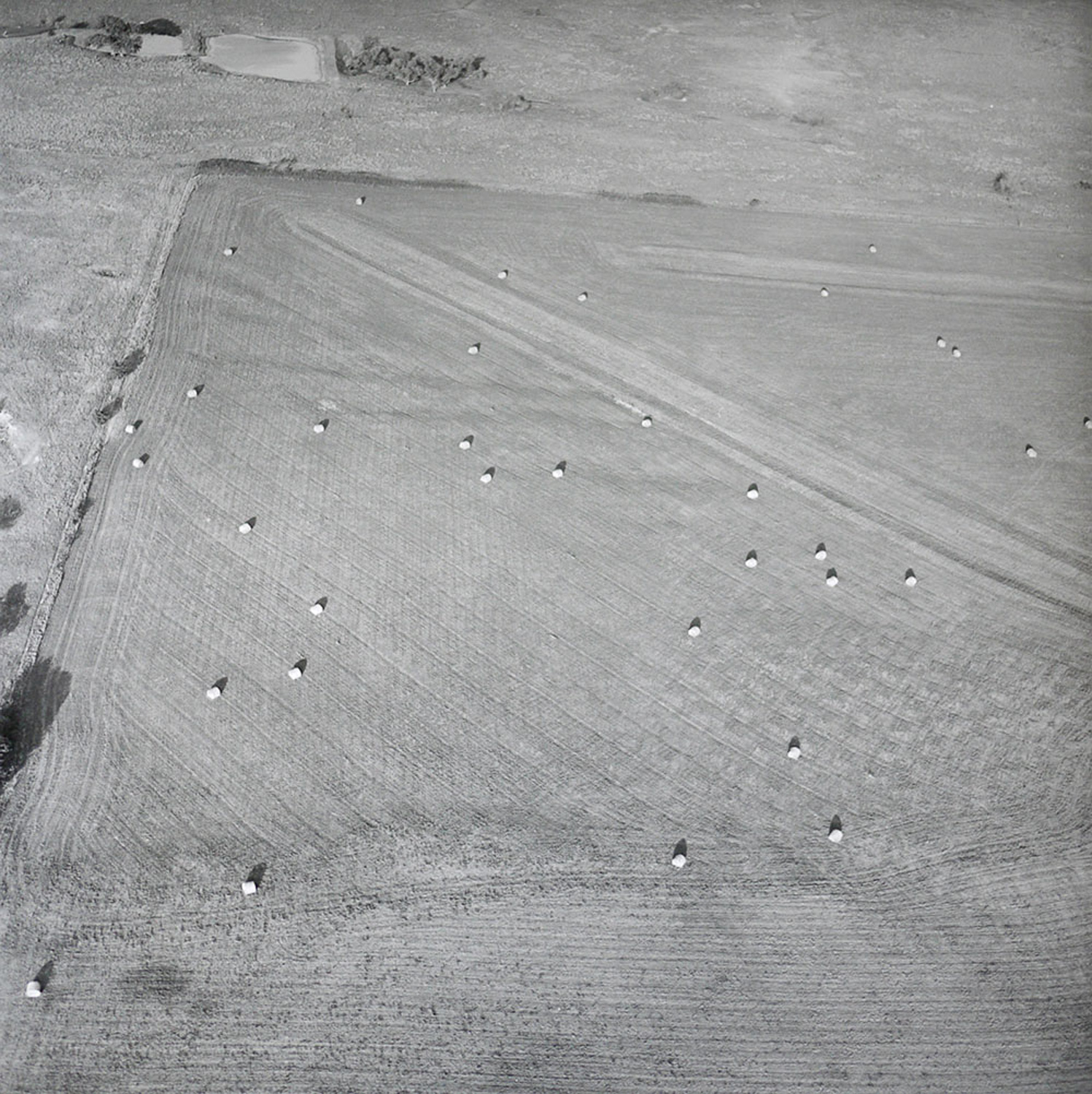 HAY_BALES_MAY_1991.jpg