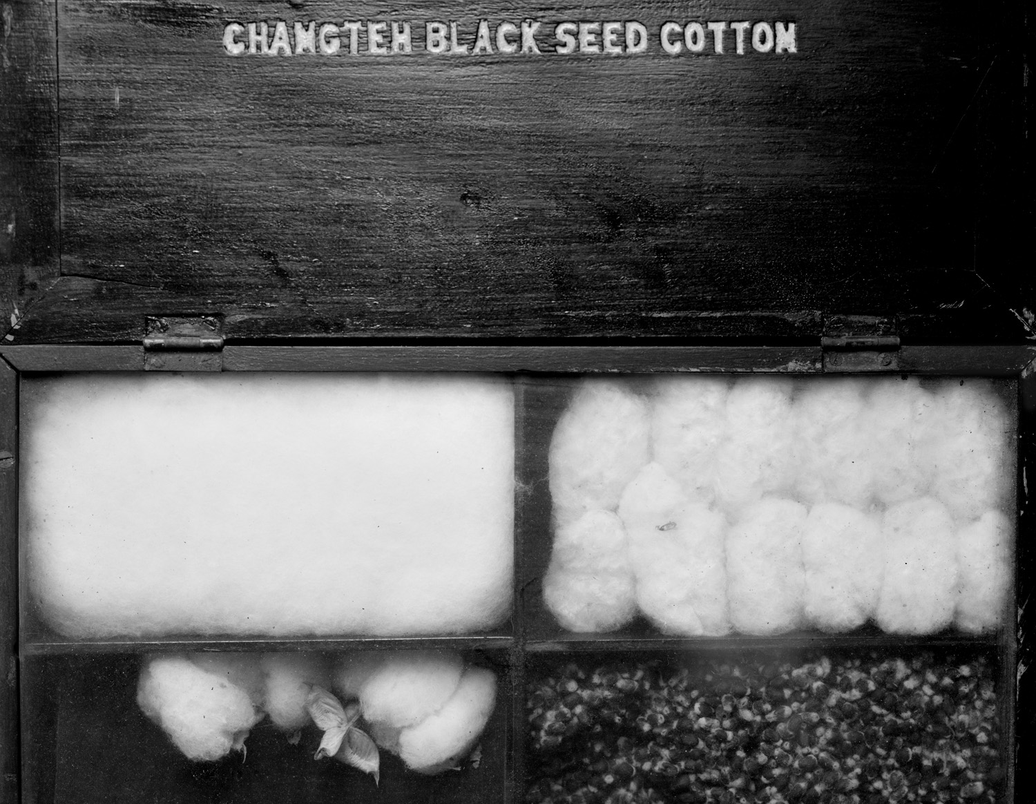 open cotton box 20x15.5.jpg