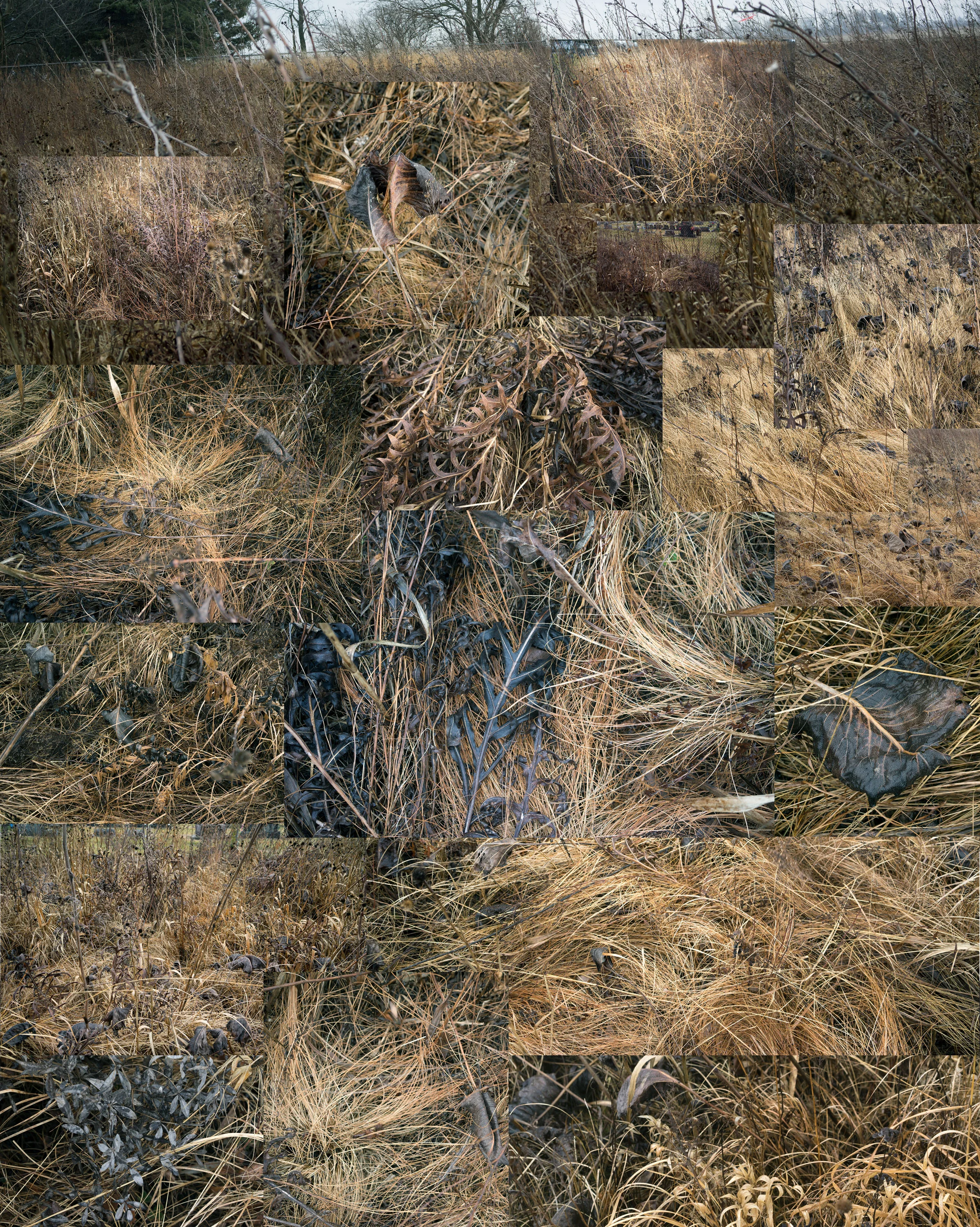 Terry Evans Photography